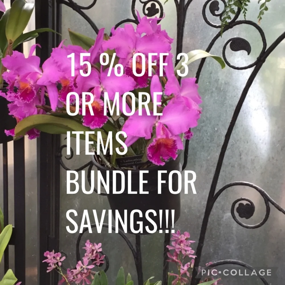 Bundle & Save!!! - Picture 1 of 1